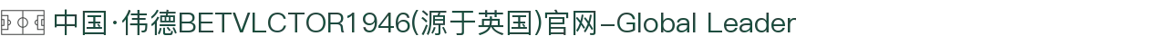 中国·伟德BETVLCTOR1946(源于英国)官网-Global Leader